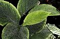 _MG_2836