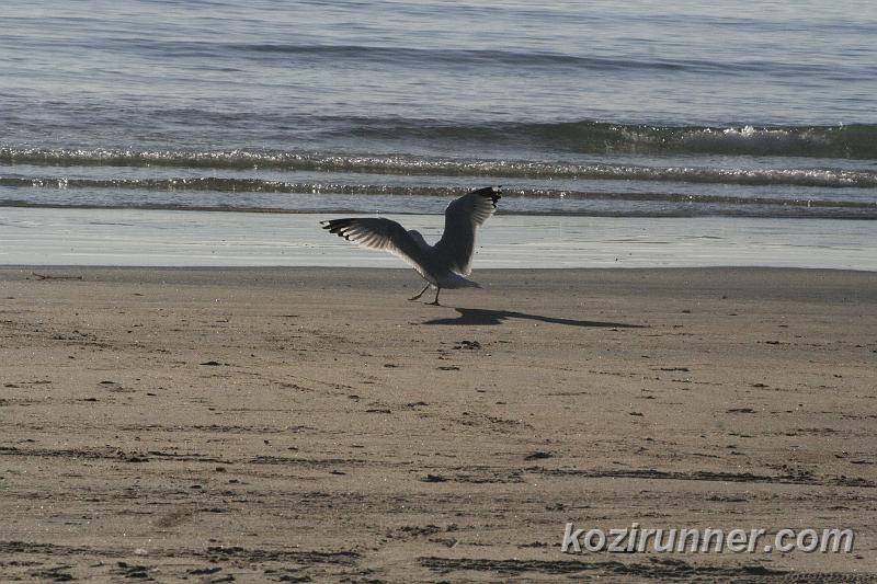 _MG_3580.JPG