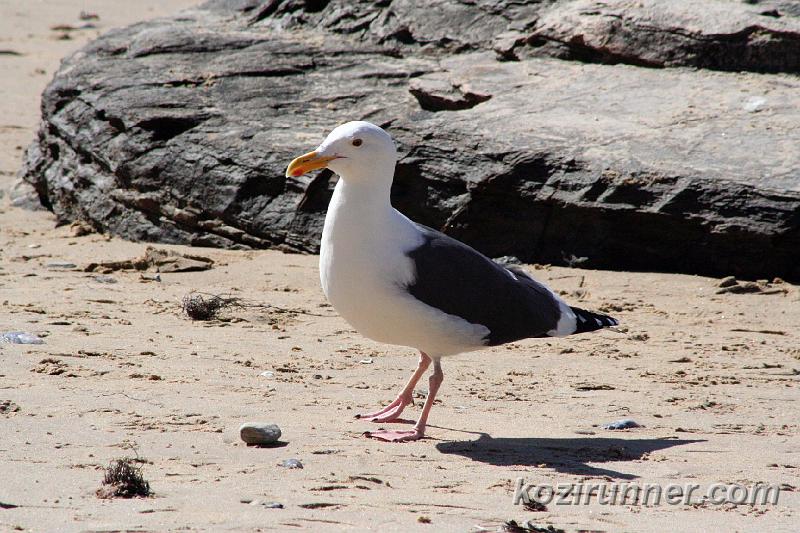 _MG_3662.jpg