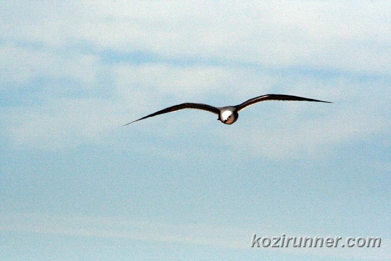 _MG_3665.jpg