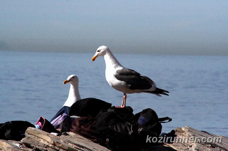 _MG_3670.jpg
