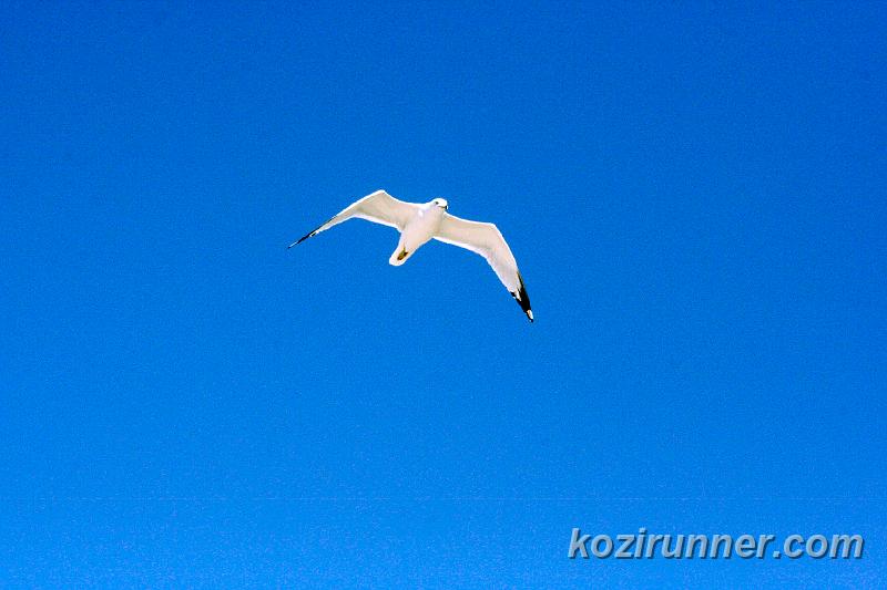 _MG_3672.jpg