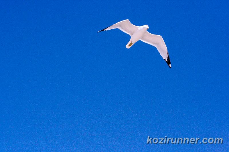_MG_3673.jpg