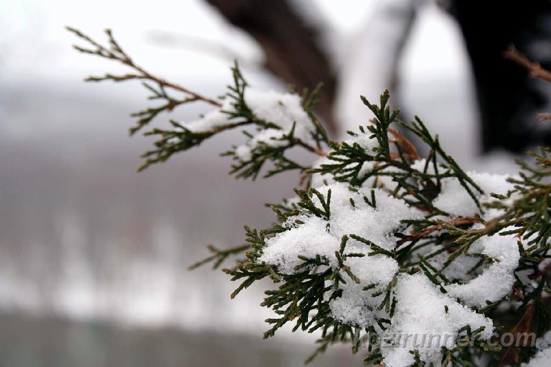 _MG_5349.jpg