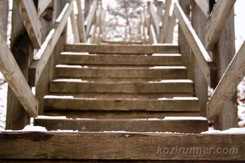 _MG_5383.jpg