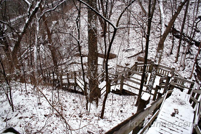 _MG_5384.jpg