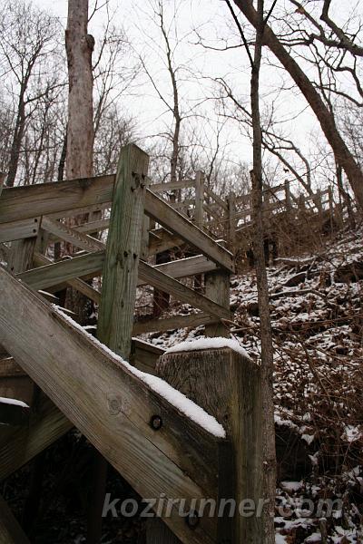 _MG_5393.jpg
