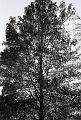 19045-R1-53-53