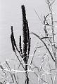 19045-R1-80-80