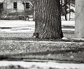 19045-R1-81-81