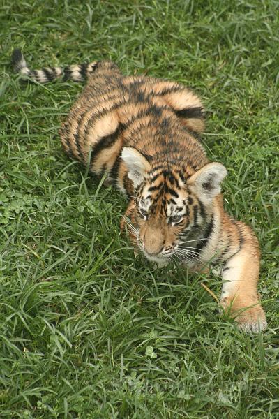 _MG_2272.JPG