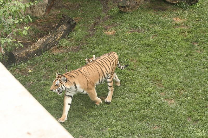 _MG_2329.JPG