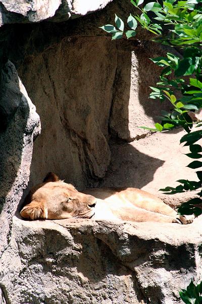 _MG_1367.jpg