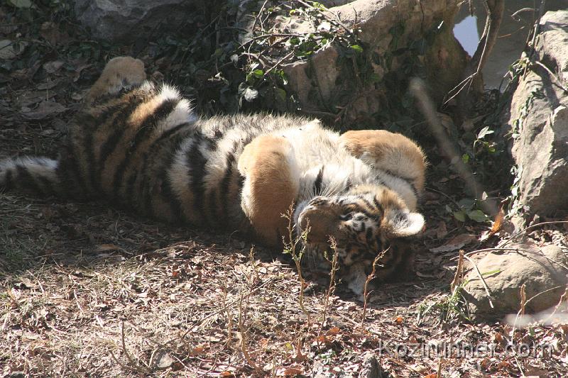 _MG_2647.JPG