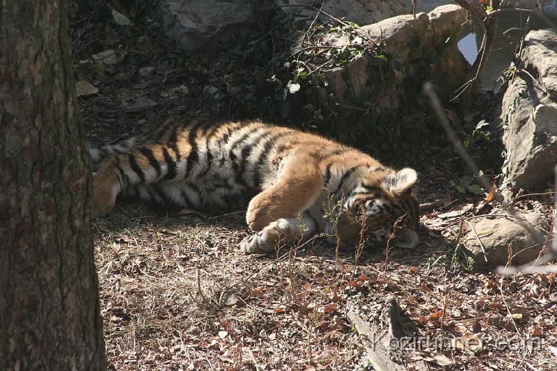 _MG_2648.JPG