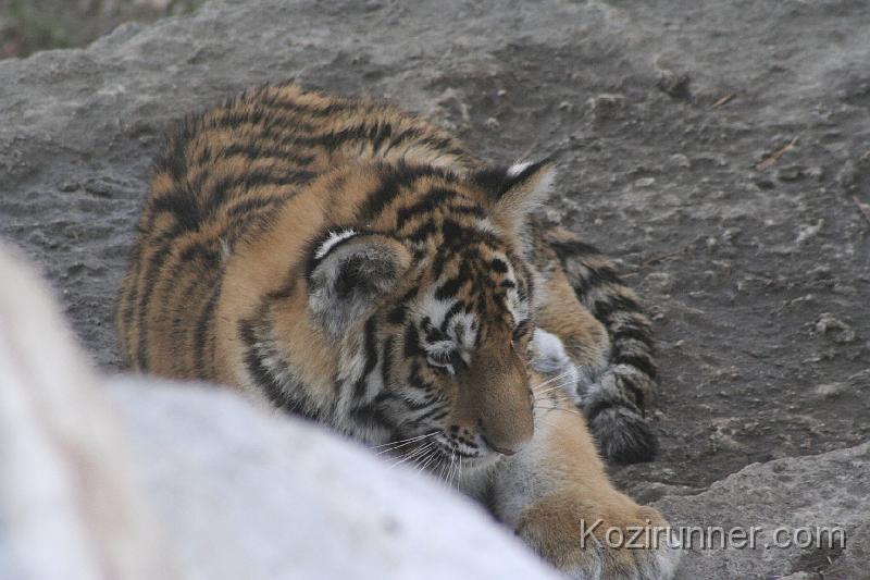 _MG_2672.JPG
