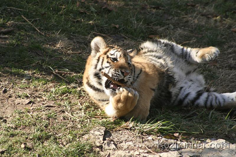 _MG_2714.JPG