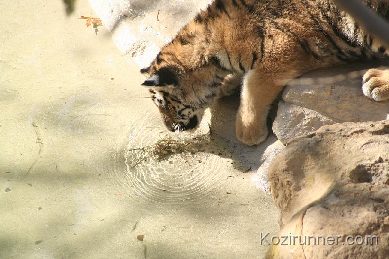 _MG_2717.JPG