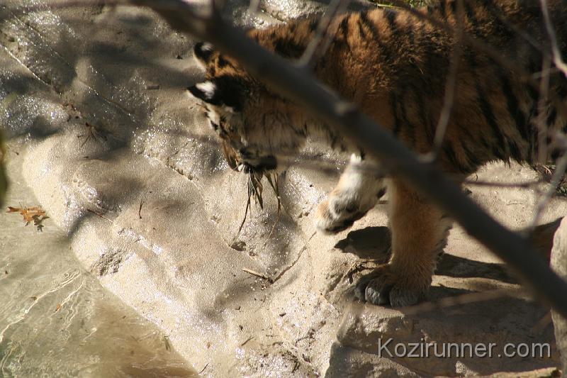 _MG_2720.JPG
