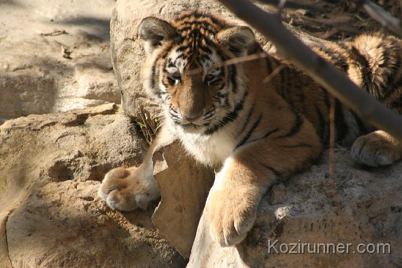 _MG_2735.JPG