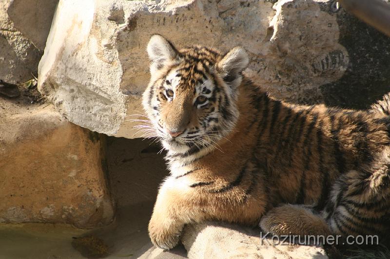 _MG_2741.JPG