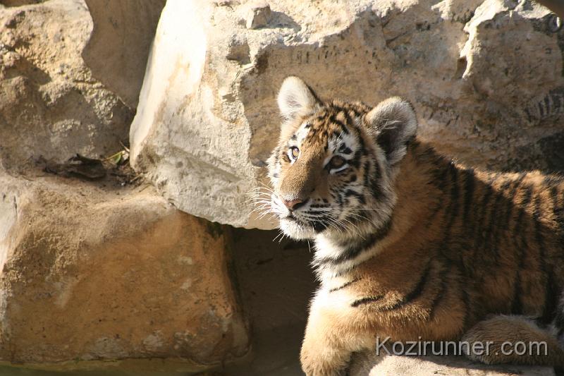 _MG_2742.JPG