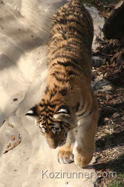 _MG_2745.JPG
