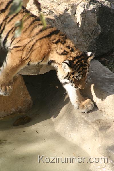 _MG_2748.JPG