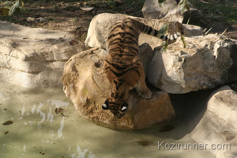 _MG_2750.JPG