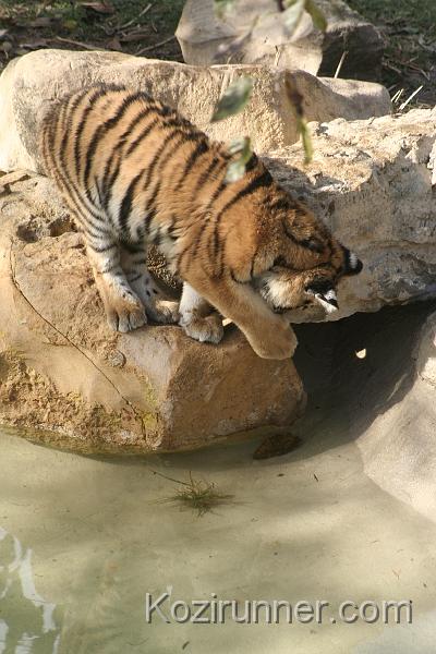 _MG_2751.JPG