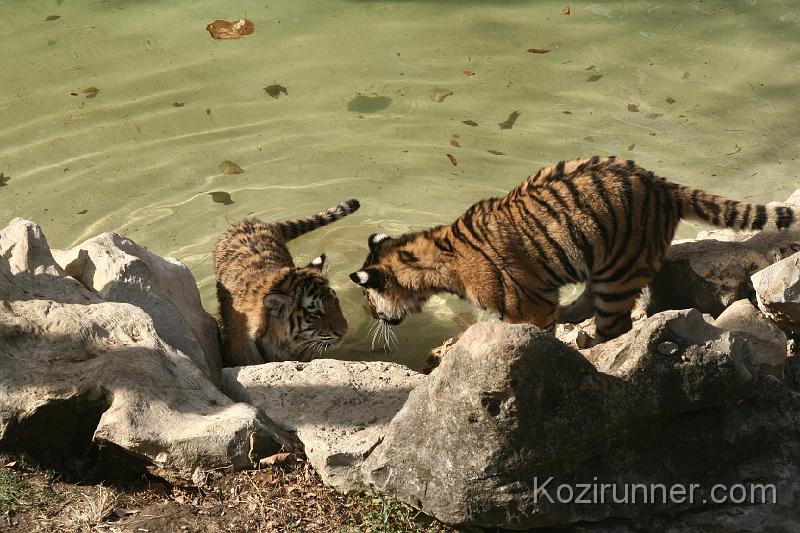 _MG_2753.JPG