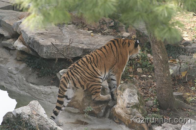 _MG_2763.JPG