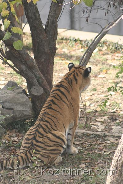 _MG_2764.JPG