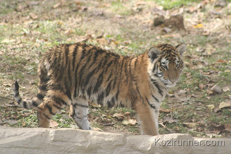 _MG_2776.JPG