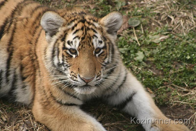 _MG_2781.JPG
