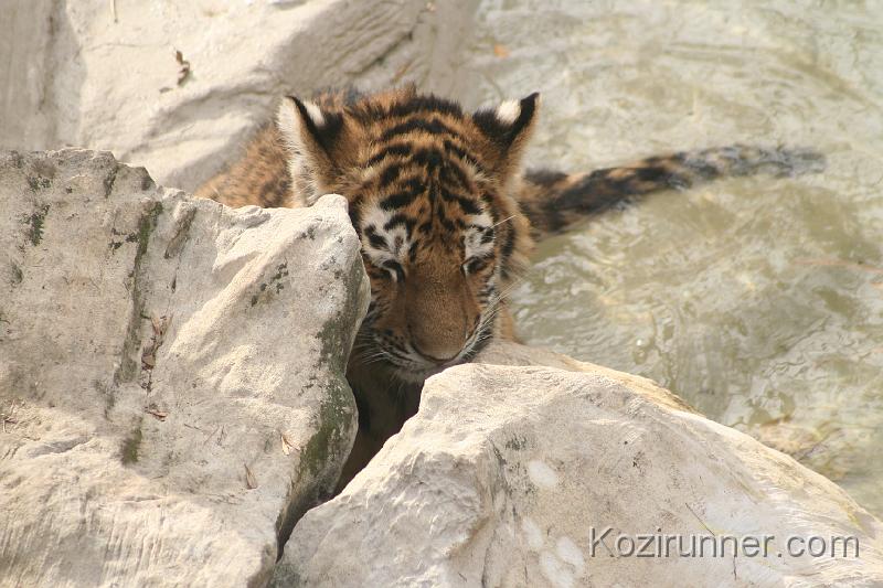_MG_2788.JPG