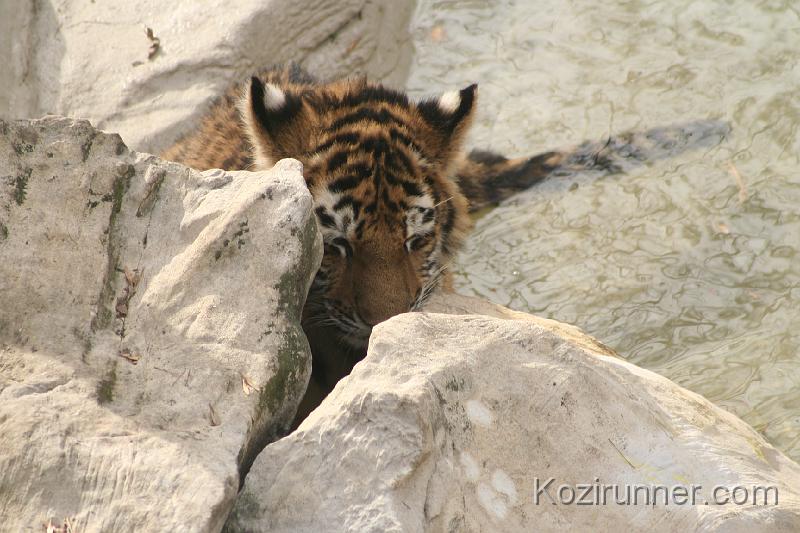 _MG_2789.JPG