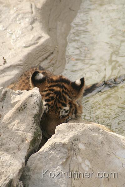 _MG_2790.JPG