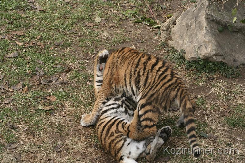 _MG_2806.JPG