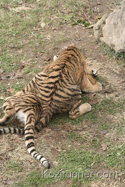 _MG_2808.JPG