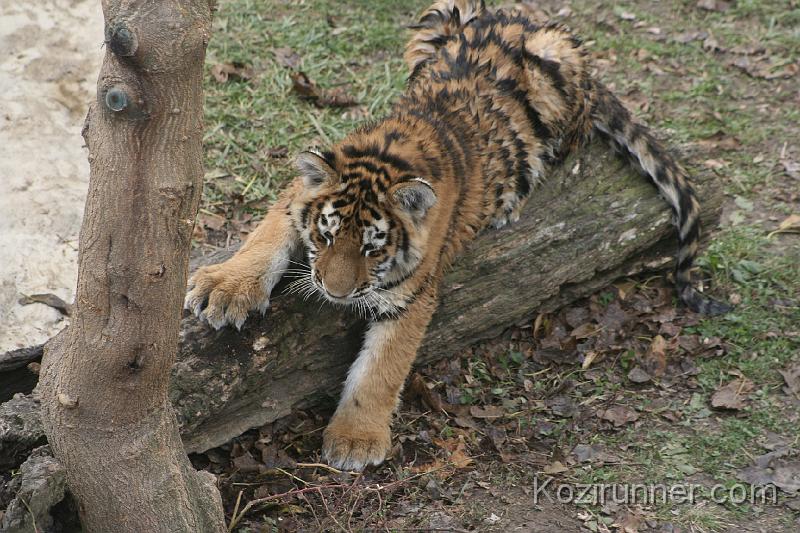 _MG_2823.JPG