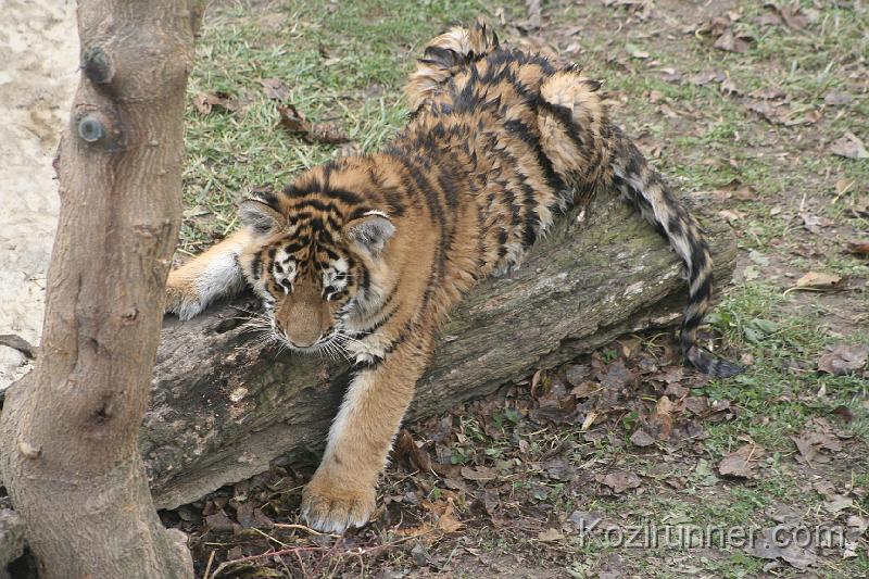 _MG_2824.JPG