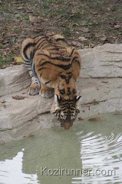 _MG_2835.JPG