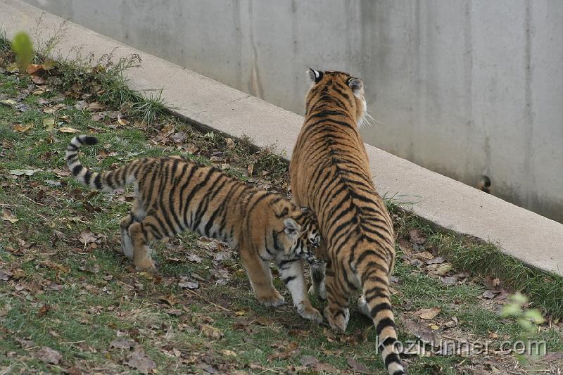 _MG_2839.JPG
