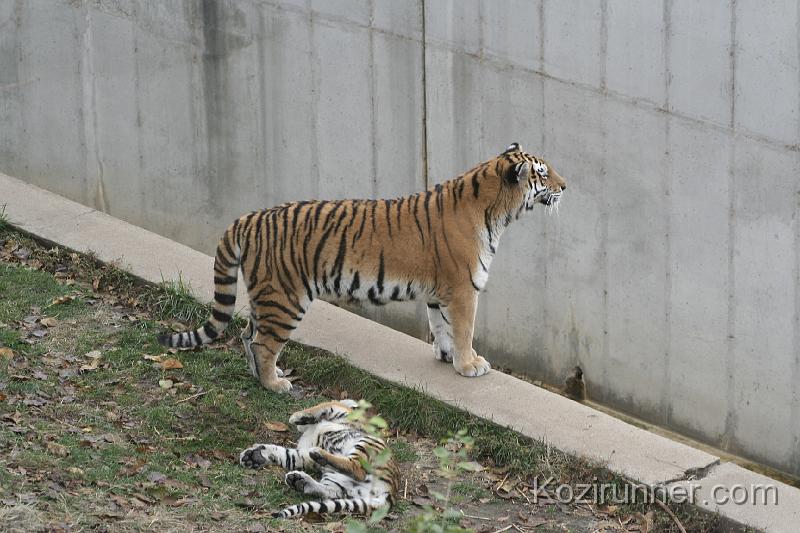 _MG_2840.JPG