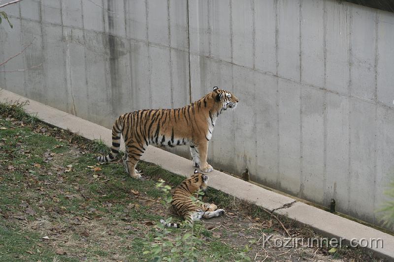_MG_2842.JPG