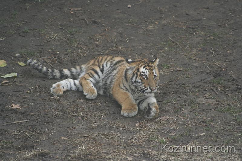 _MG_2855.JPG
