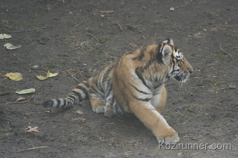 _MG_2856.JPG