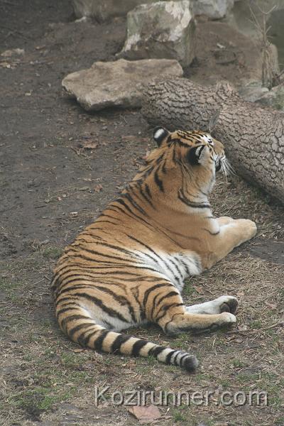 _MG_2858.JPG