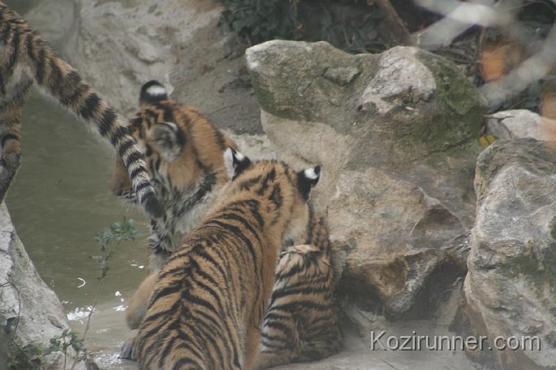 _MG_2861.JPG